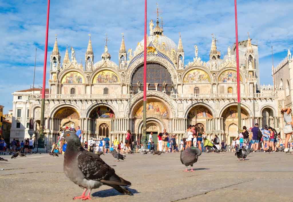 Die vielen Tauben auf dem Markusplatz in Venedig sind ein Problem